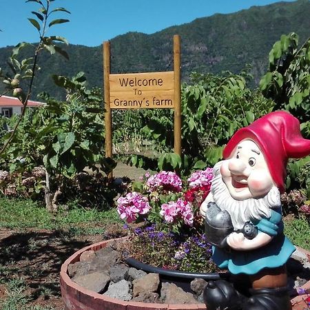 Granny'S Farm São Vicente Exterior foto