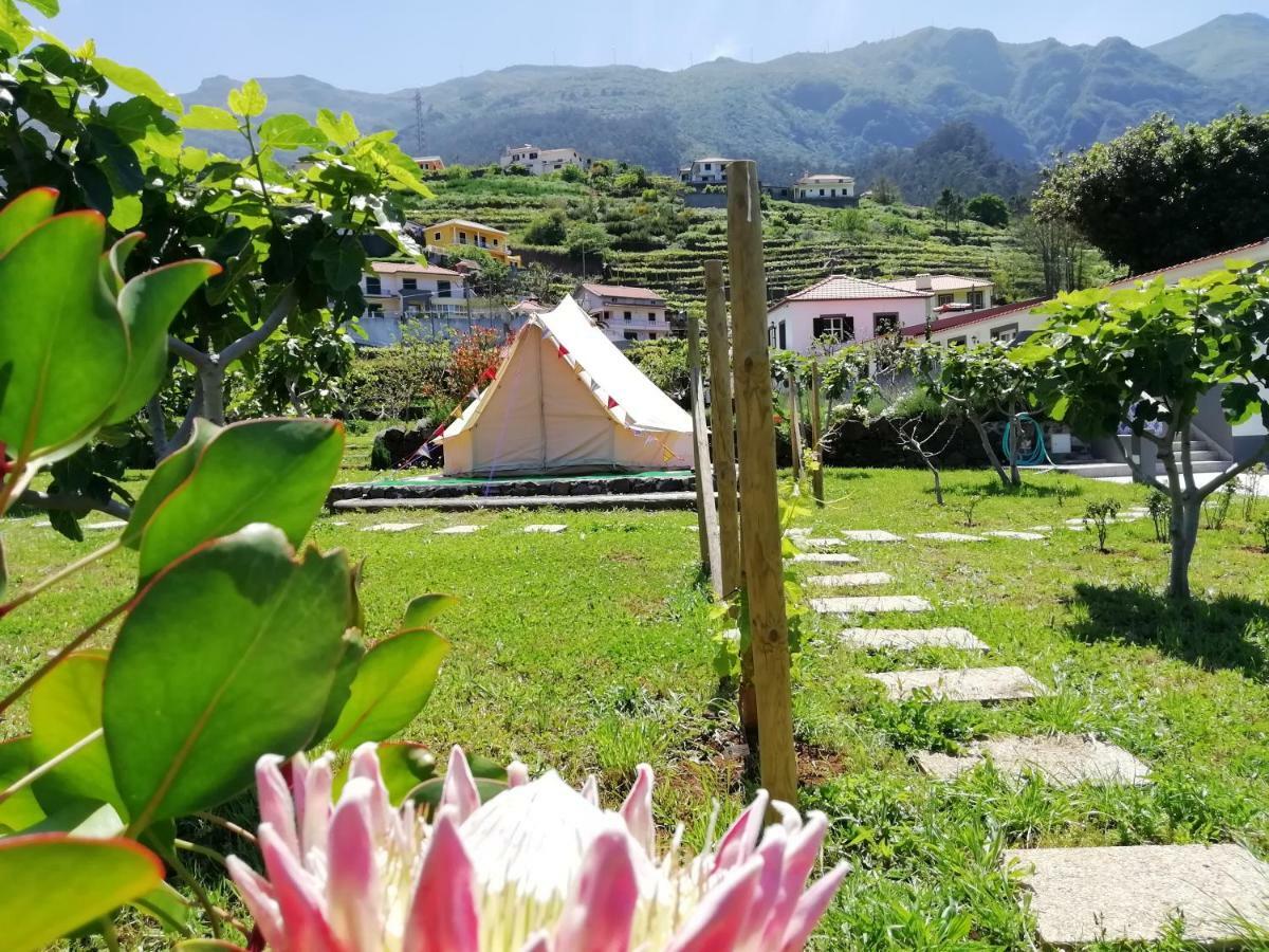 Granny'S Farm São Vicente Exterior foto